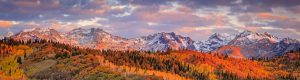 autumn snow panorama