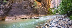 Zion national park canyon creek