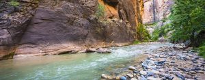 Zion national park canyon creek