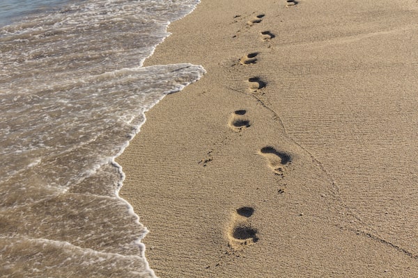 MARLO-BENNETT-Footprints-sand-beach-for-web-min - Bennett